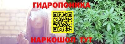 скорость Аргун